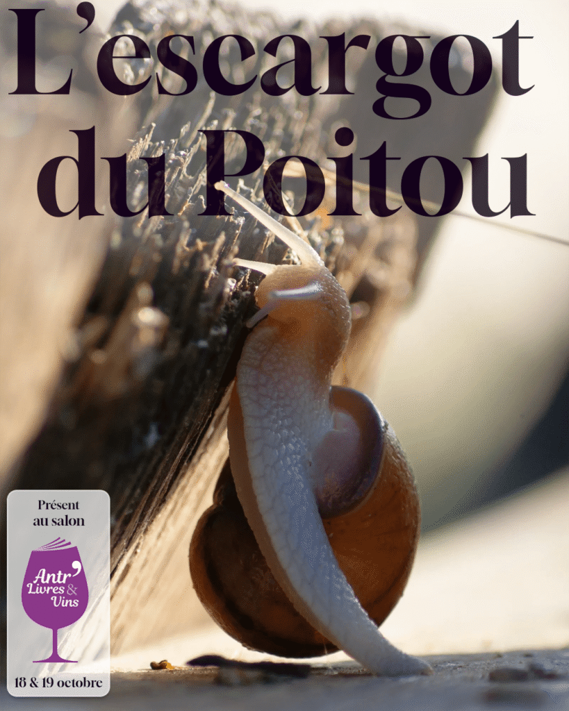 L'Escargot du Poitou